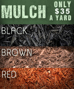 Thornton Landscaping Mulch